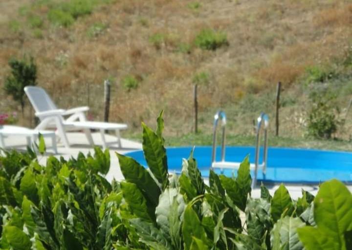 Casa Vacanze La Venarella Sorano  Zimmer foto